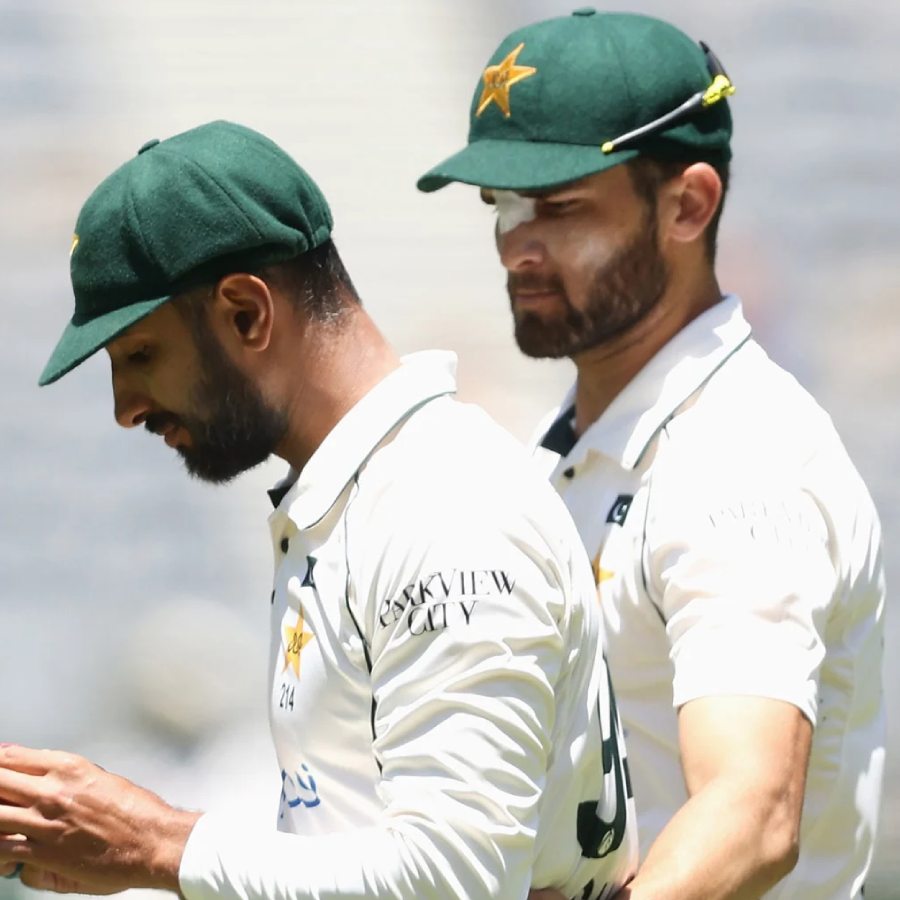 picture of cricket