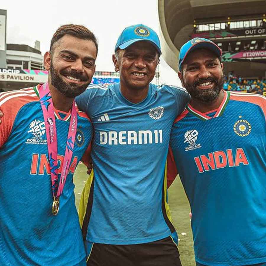 picture of cricket