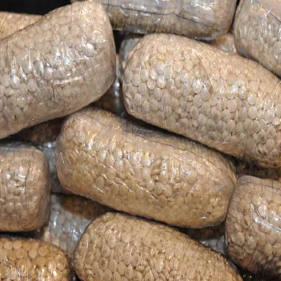 What is jihadi drug