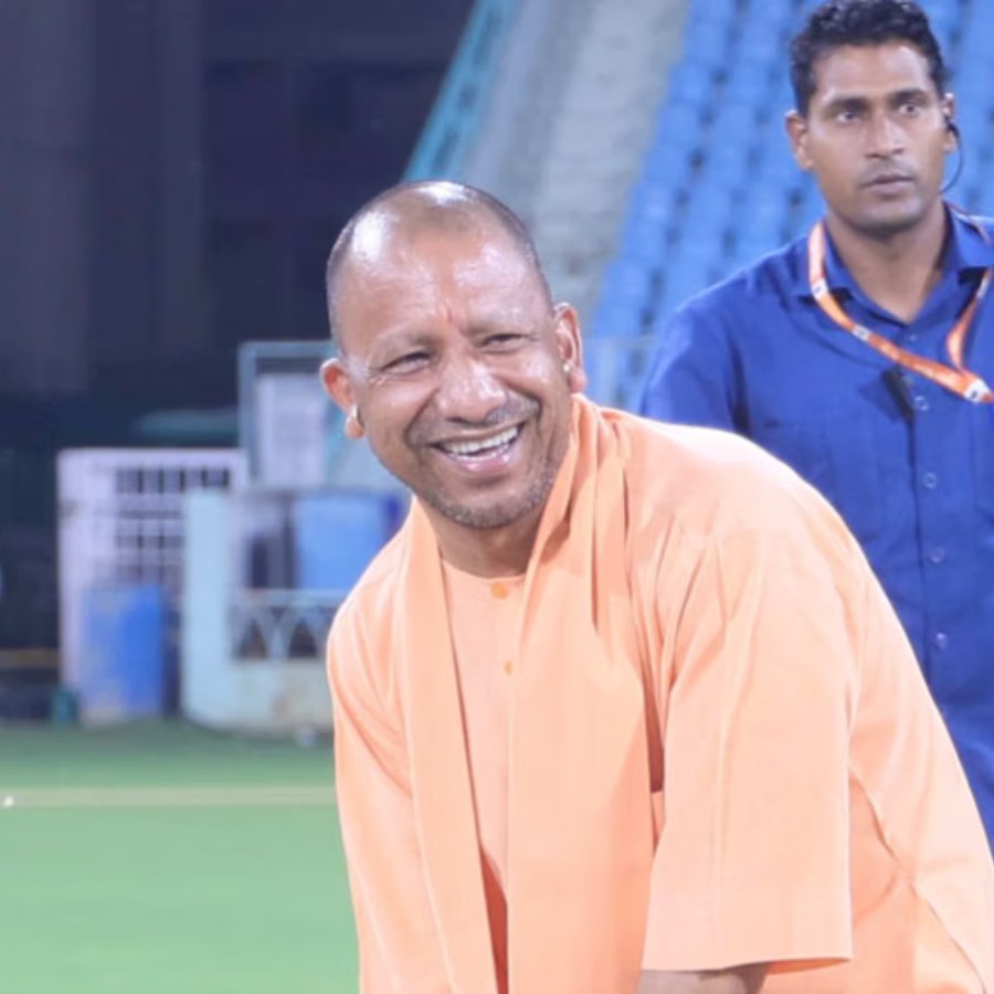 picture of cricket