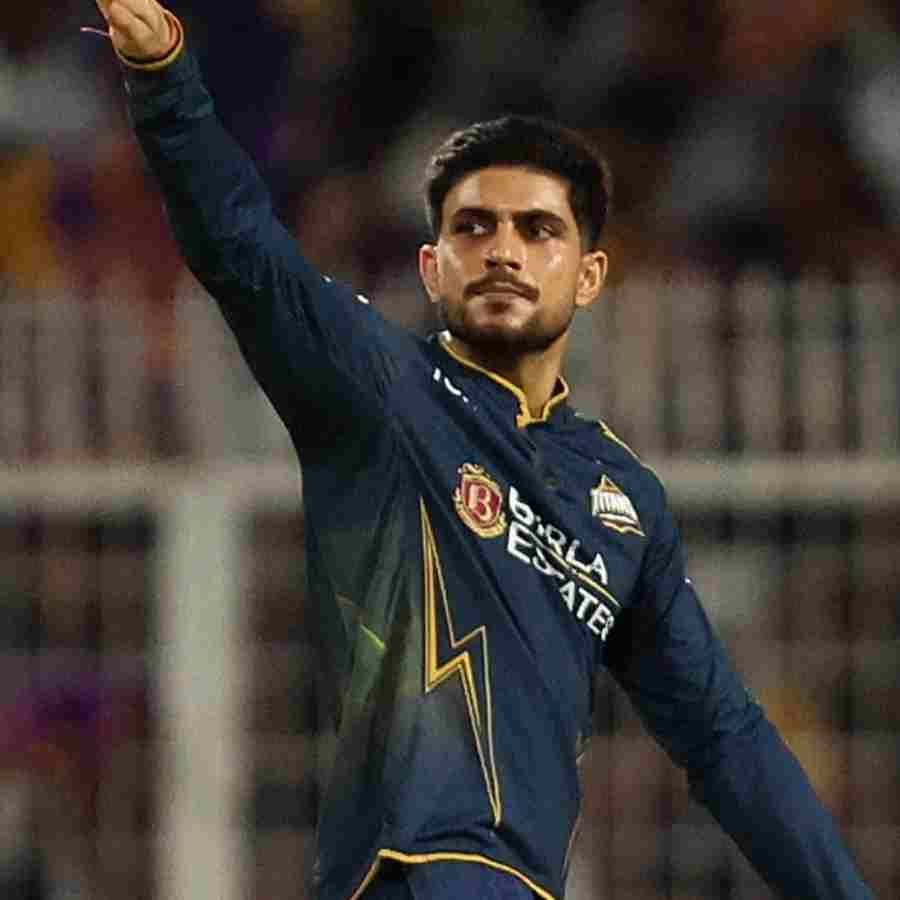 cricket