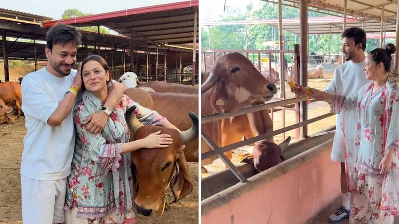 অঙ্কিতা লোখান্ডে ও ভিকি জৈন গোসেবায় নিয়োজিত।
