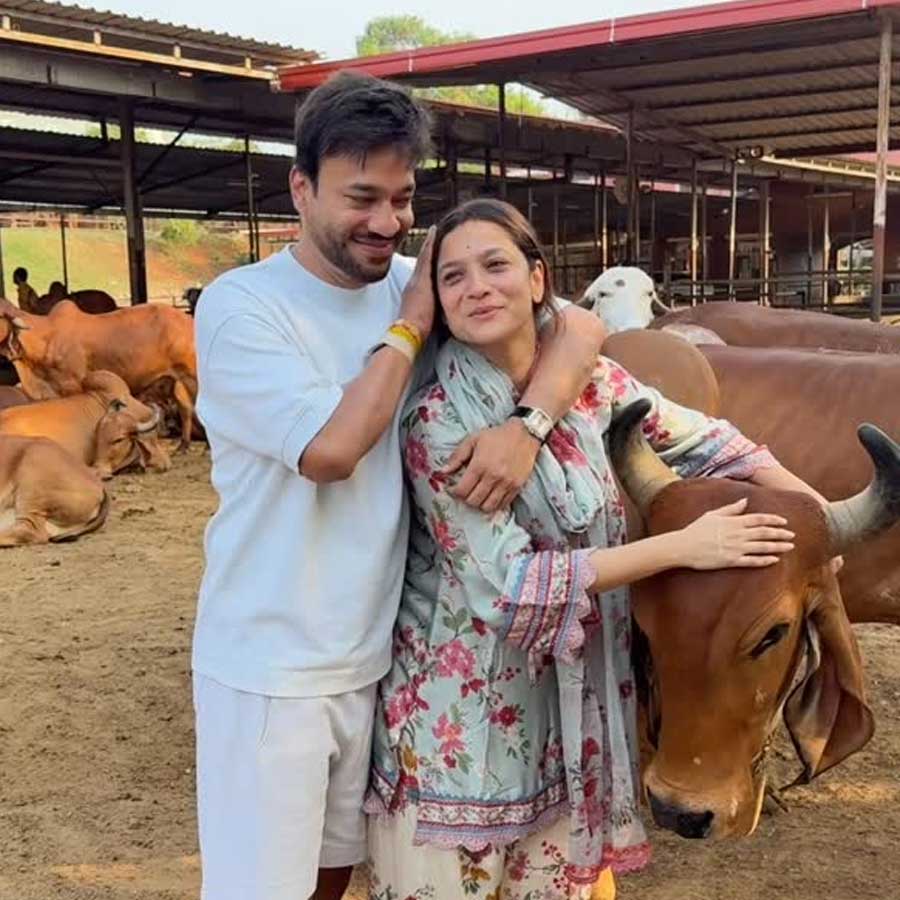 অঙ্কিতা লোখান্ডে ও ভিকি জৈন গোসেবায় নিয়োজিত।