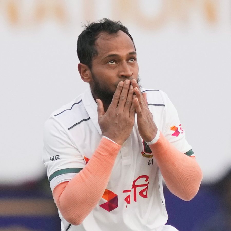 picture of cricket