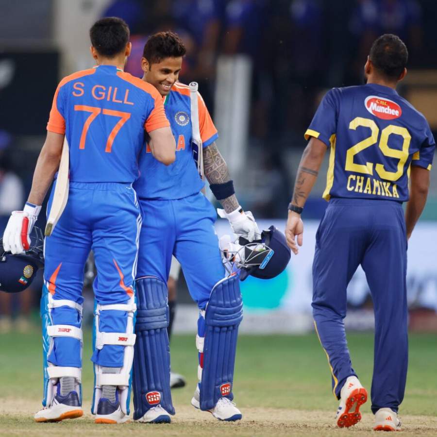 picture of cricket