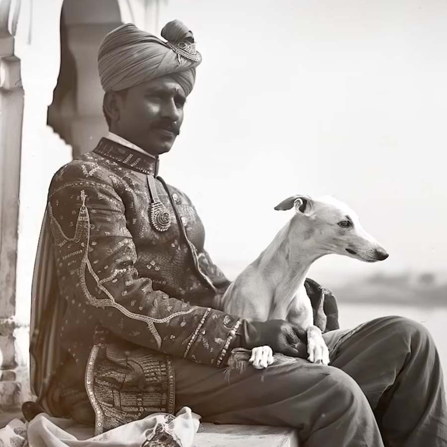 Junagadh Nawab Mahabat Khan III hosted his pet dog's wedding
