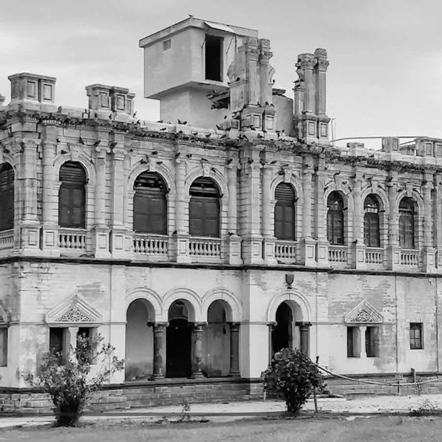 Junagadh Nawab Mahabat Khan III hosted his pet dog's wedding