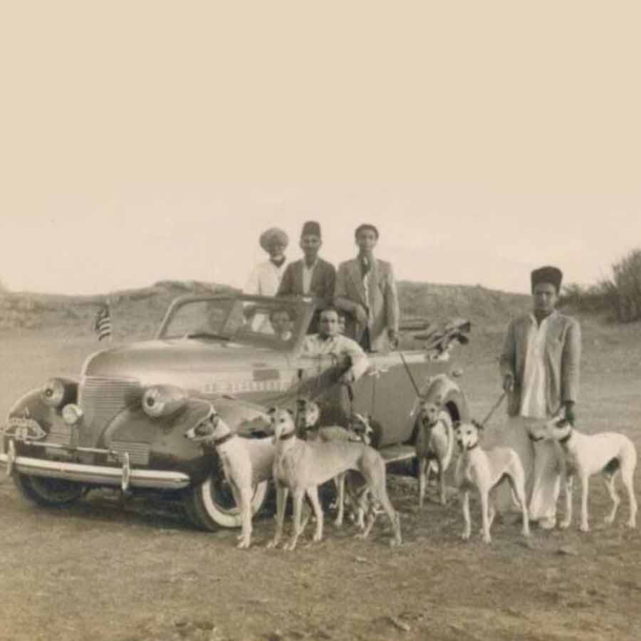 Junagadh Nawab Mahabat Khan III hosted his pet dog's wedding
