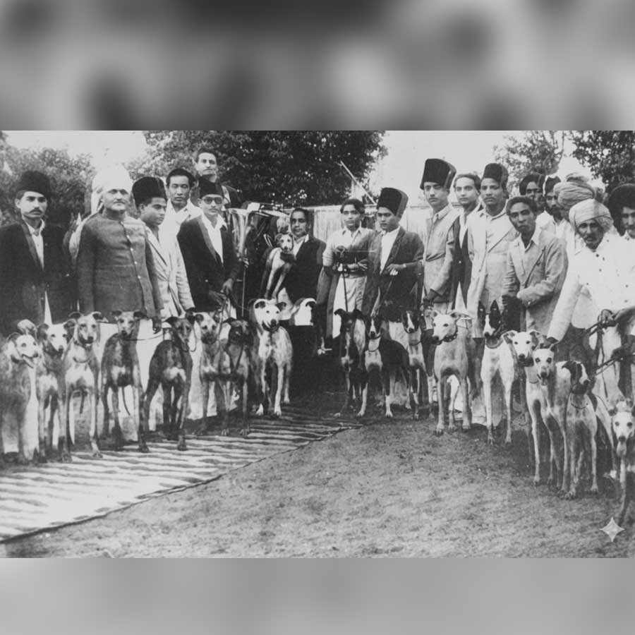 Junagadh Nawab Mahabat Khan III hosted his pet dog's wedding