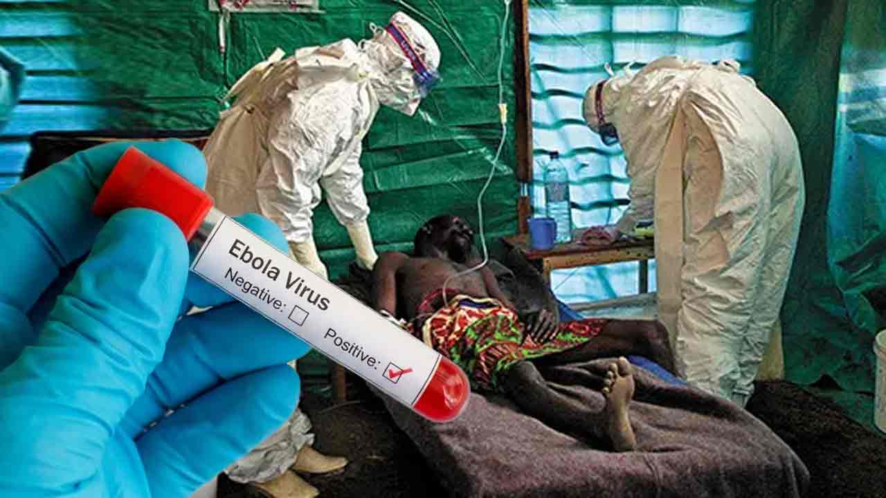 Ebola Alert, global scare grows after WHO outbreak warning
