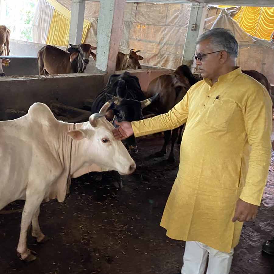 Dilip Ghosh