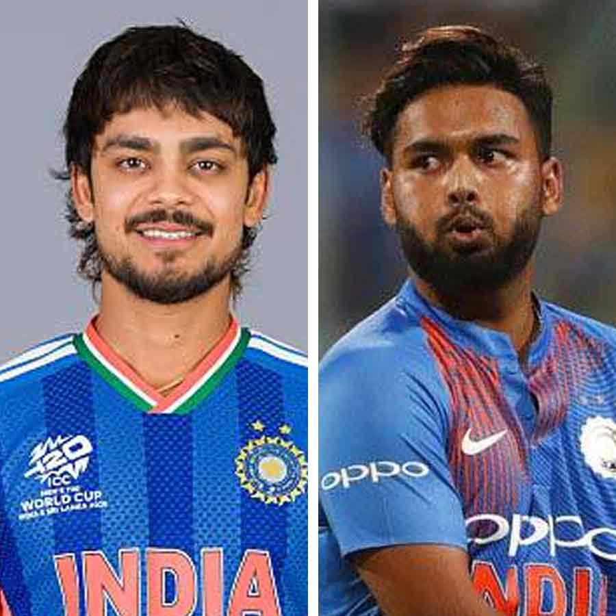 picture of cricket