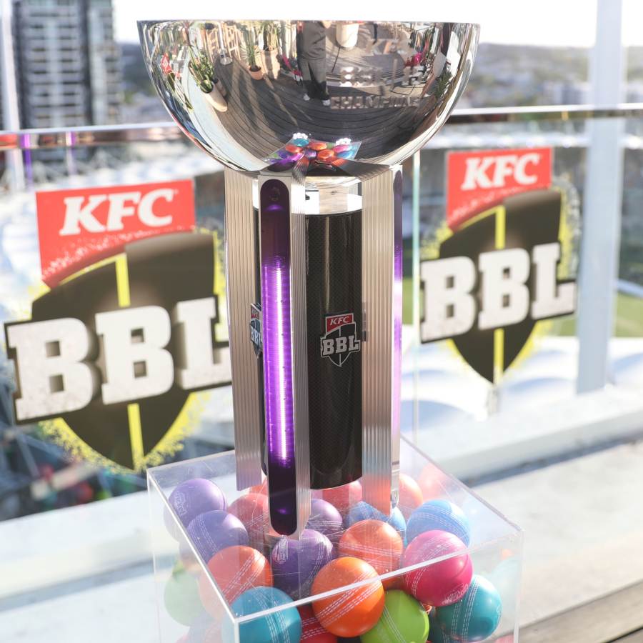 picture of cricket