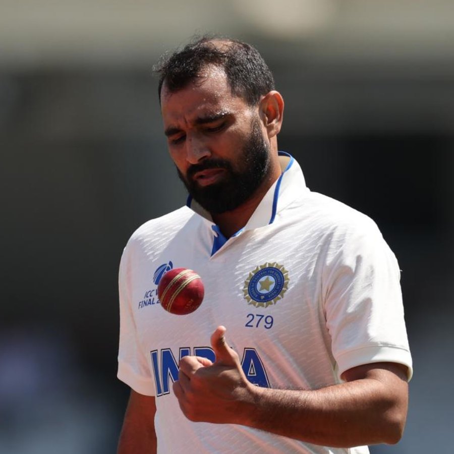 picture of cricket