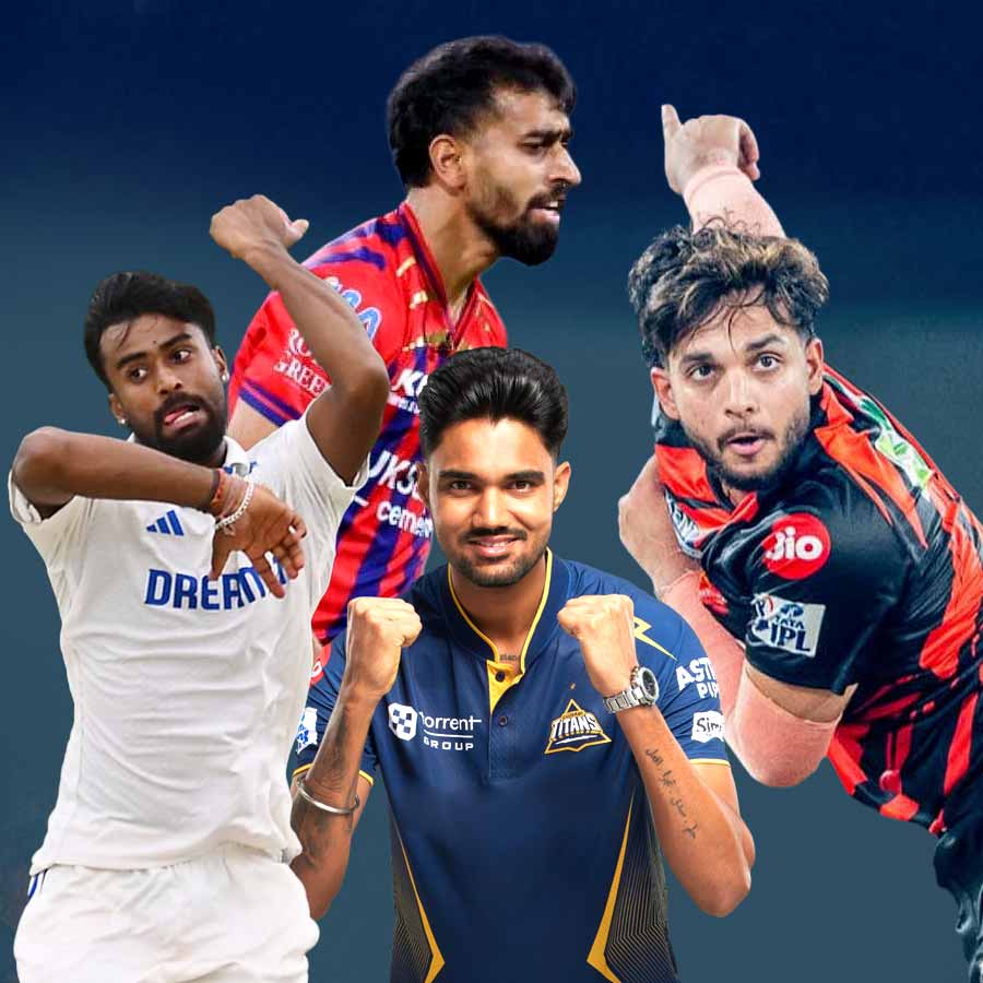 picture of cricket