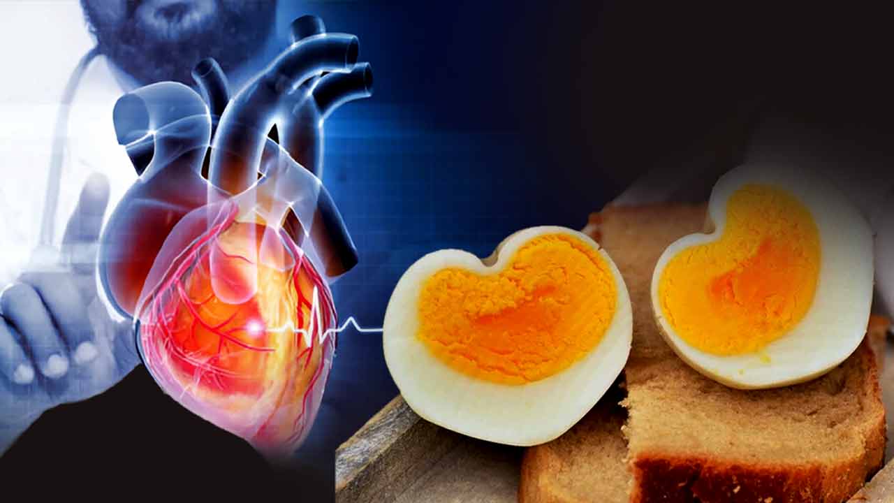 হার্টের রোগীদের কি ডিম খাওয়া বারণ?