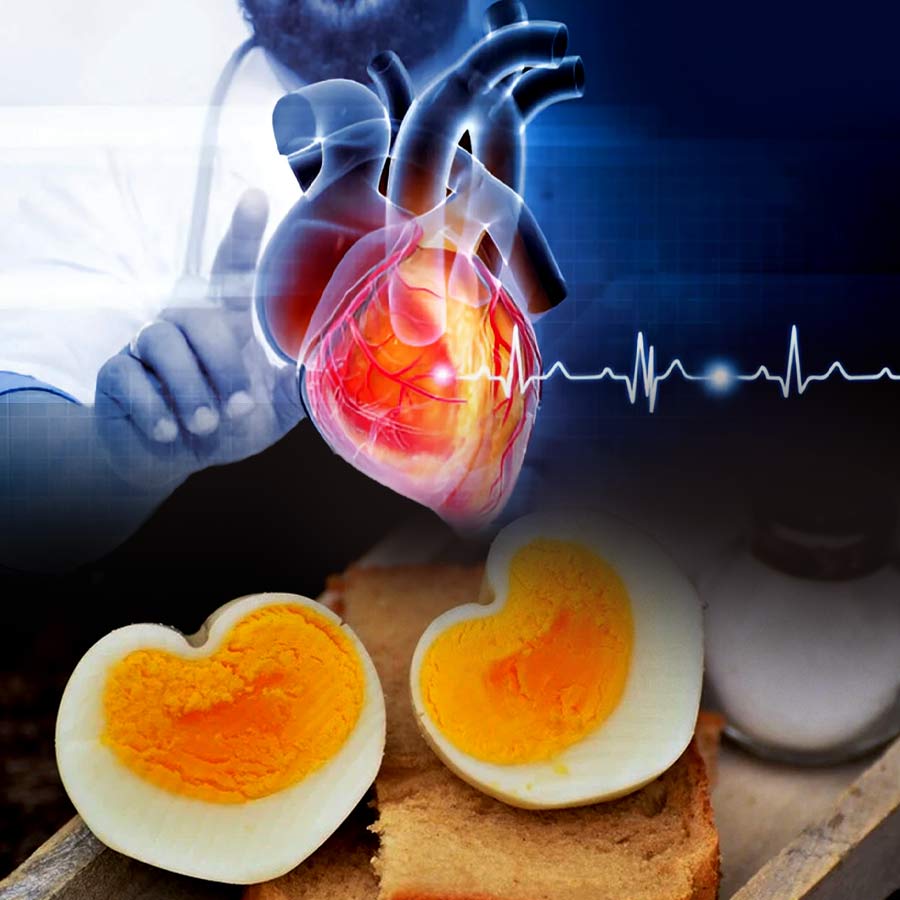 হার্টের রোগীদের কি ডিম খাওয়া বারণ?