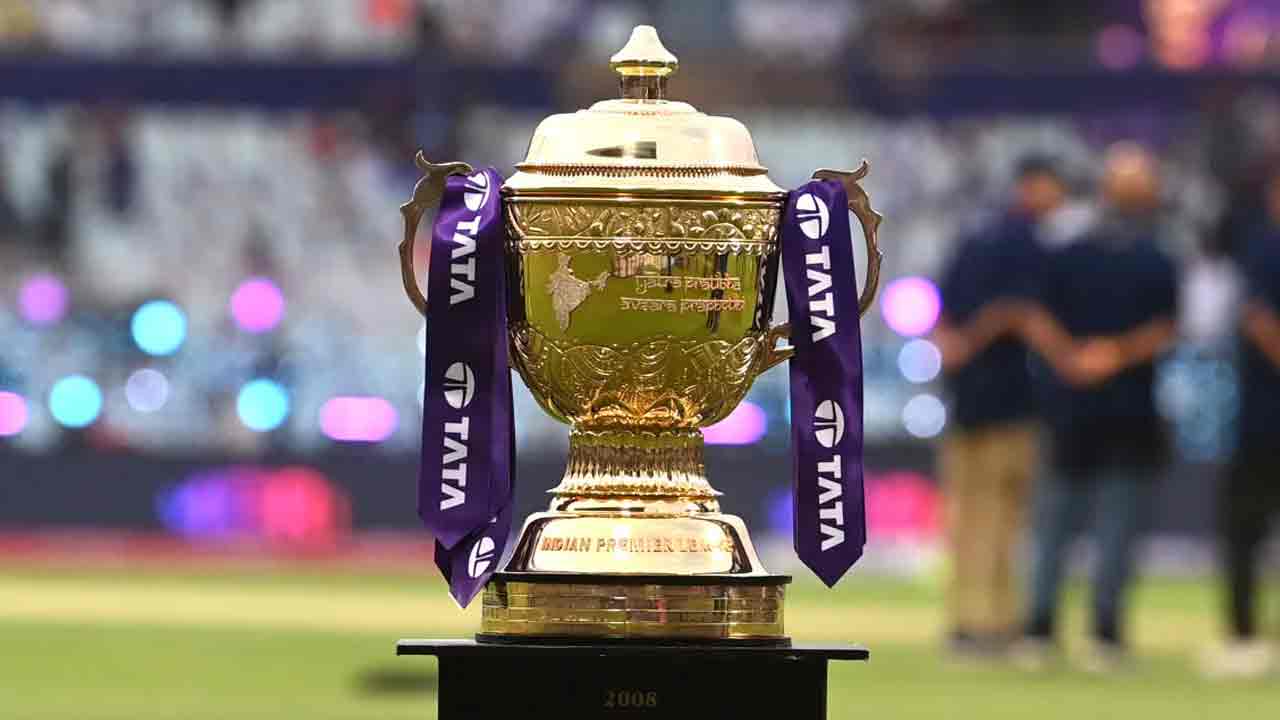 picture of cricket