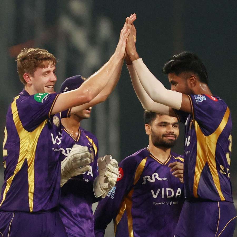 picture of cricket