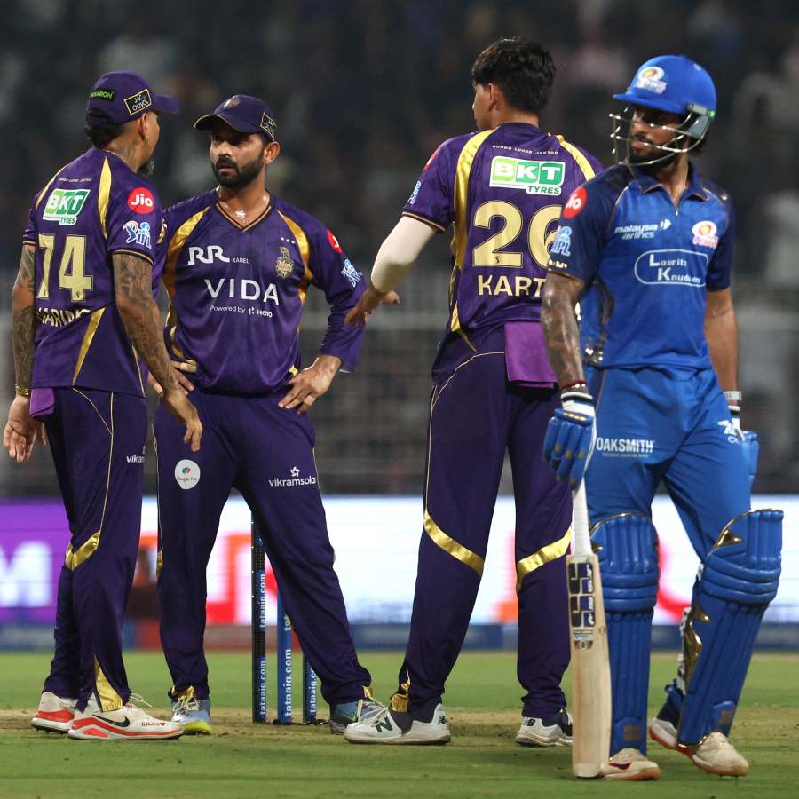 picture of cricket