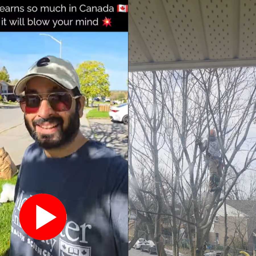 Video shows Indian man stunned by knowing wood cutter’s earning in Canada