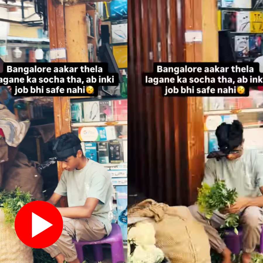 Video shows vegetable vendor from Bengaluru earning one lakh per month by collecting AI data