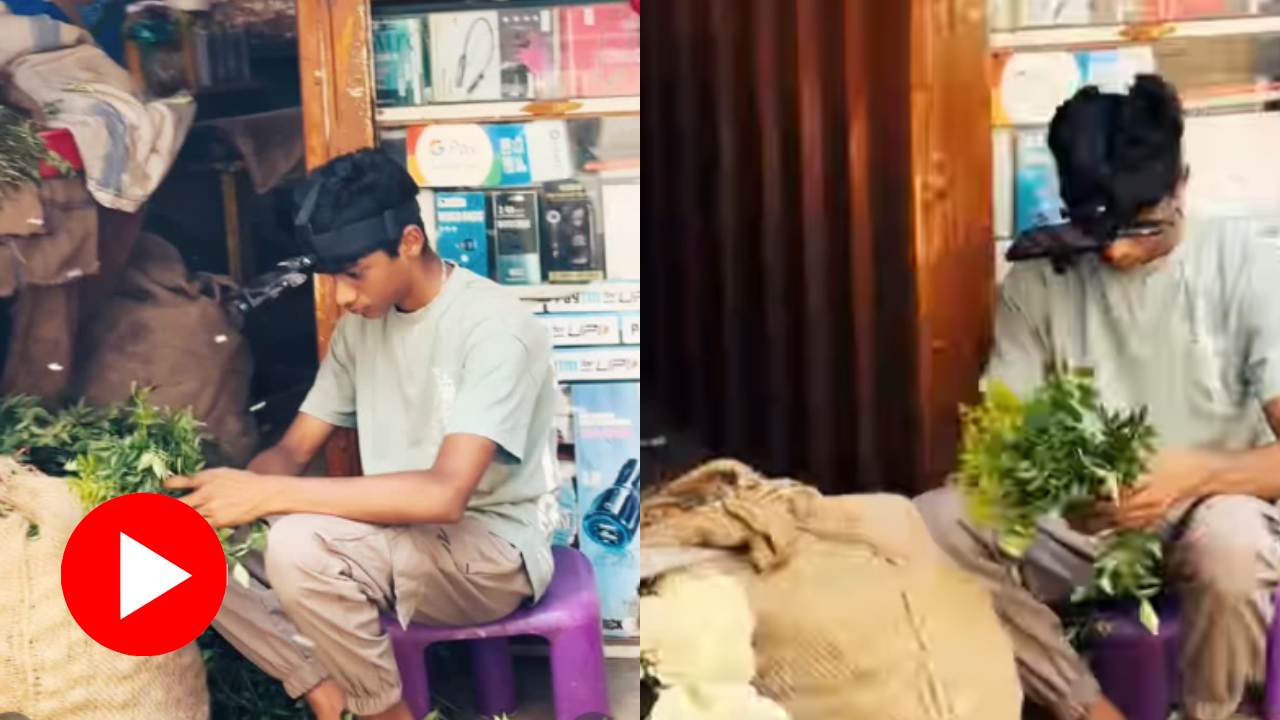 Video shows vegetable vendor from Bengaluru earning one lakh per month by collecting AI data