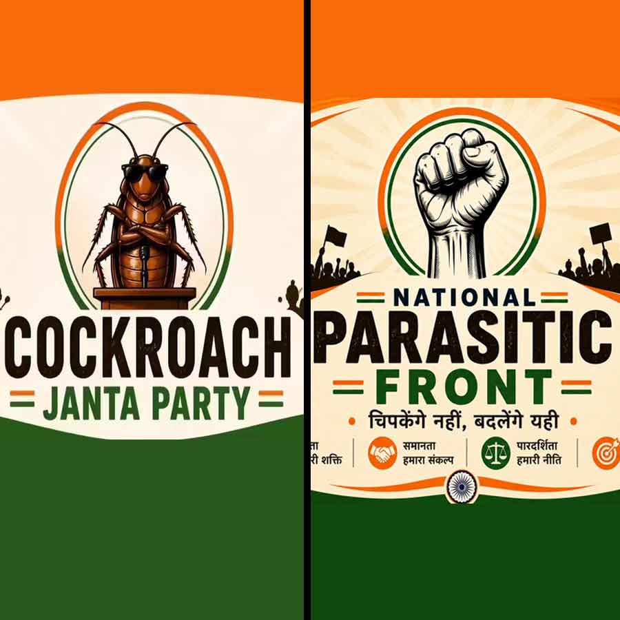 After Cockroach Janata Party another satirical movement Political Party National Parasitic Front come in focus