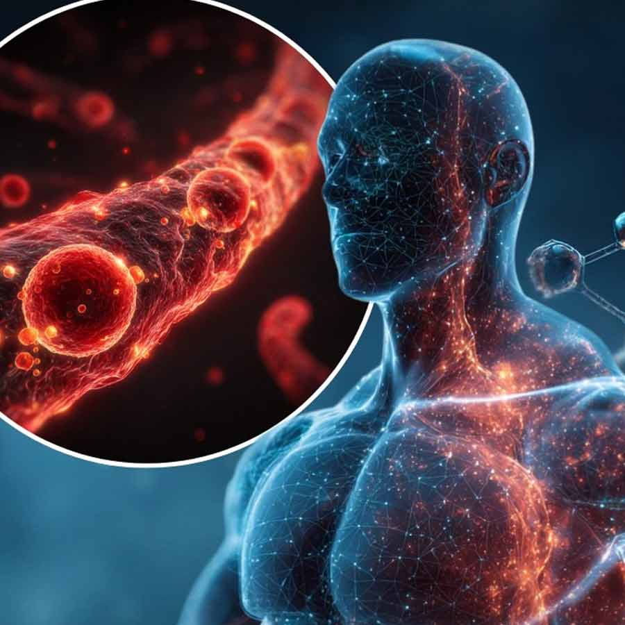 রক্তে মিশছে ‘ফরএভার কেমিক্যাল’, কী সেটি?