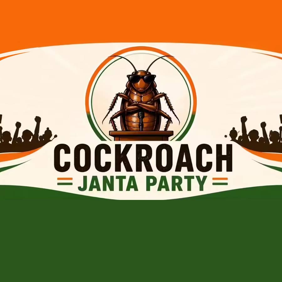 India’s Cockroach Janta Party Trend Crosses Border as Pakistan Launches Viral Cockroach-Themed Political Satire Parties