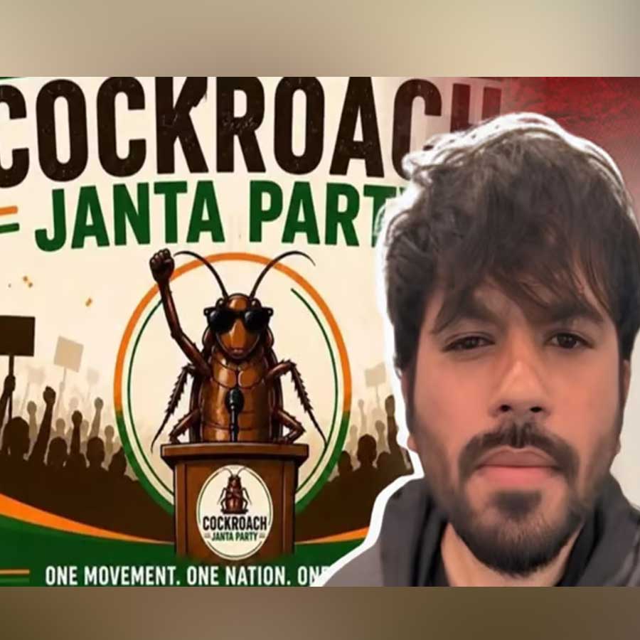 India’s Cockroach Janta Party Trend Crosses Border as Pakistan Launches Viral Cockroach-Themed Political Satire Parties