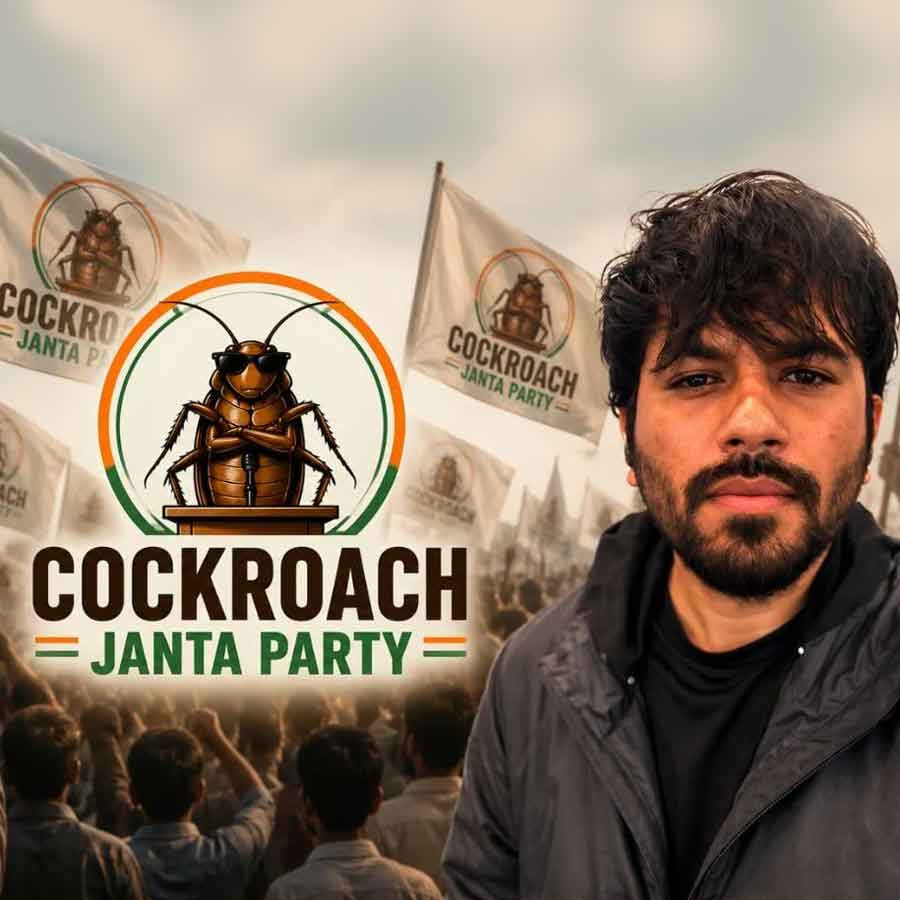 India’s Cockroach Janta Party Trend Crosses Border as Pakistan Launches Viral Cockroach-Themed Political Satire Parties