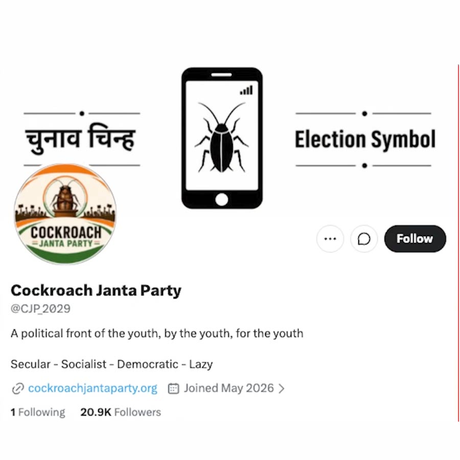 India’s Cockroach Janta Party Trend Crosses Border as Pakistan Launches Viral Cockroach-Themed Political Satire Parties