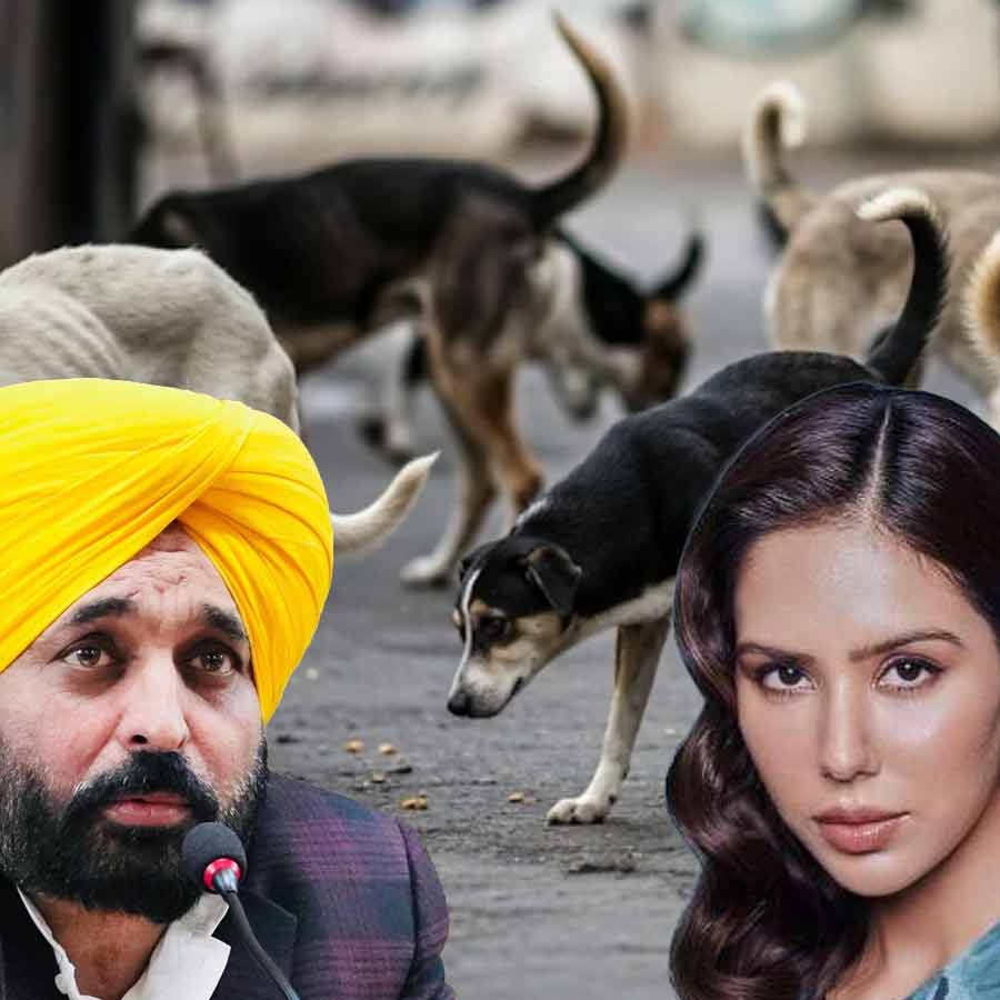 Actress Sonam Bajwa shared long post after Punjab CM Bhagwant Mann’s comment on stray dogs