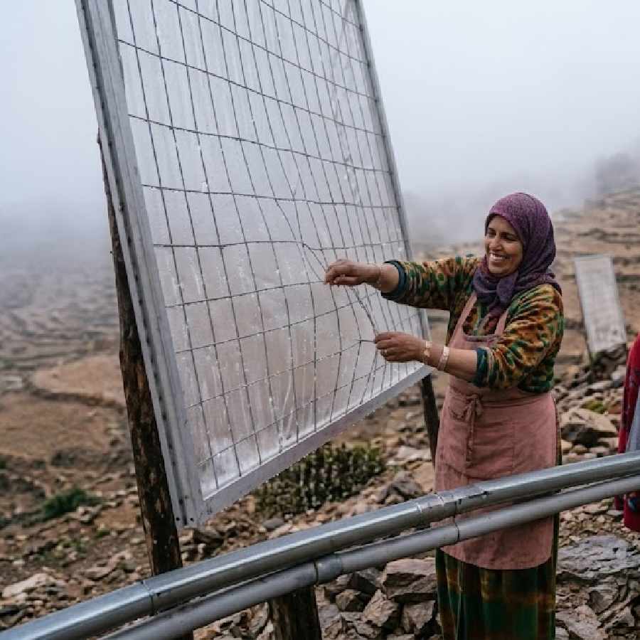 How Women in Rural Morocco Are Turning Fog Into Drinking Water in Desert Villages