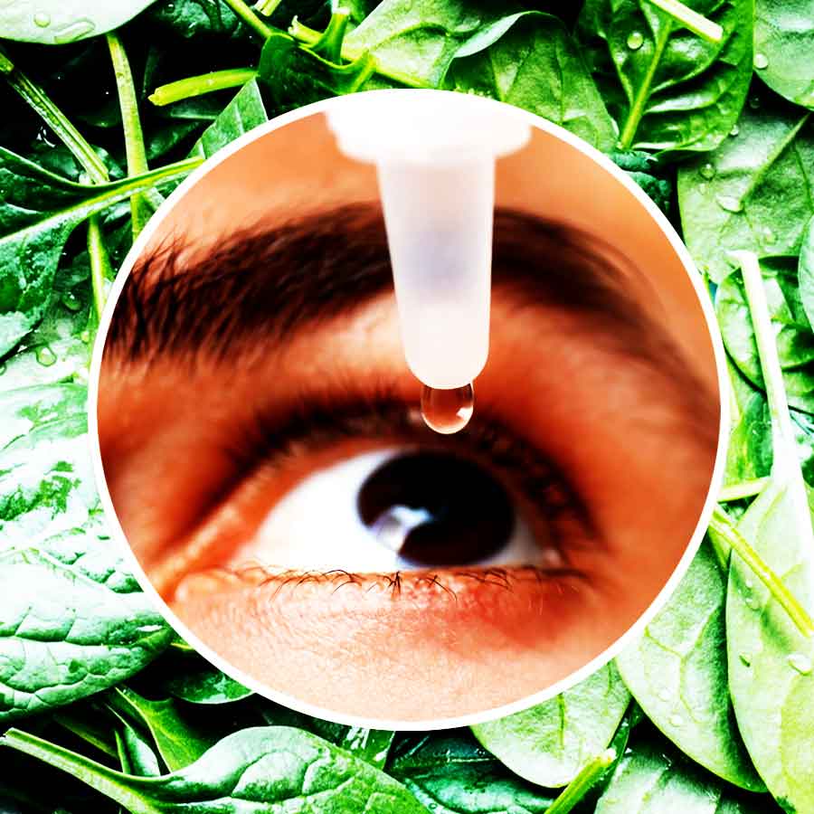 Singapore Scientists Develop Spinach-Based Eye Drops for Dry Eyes