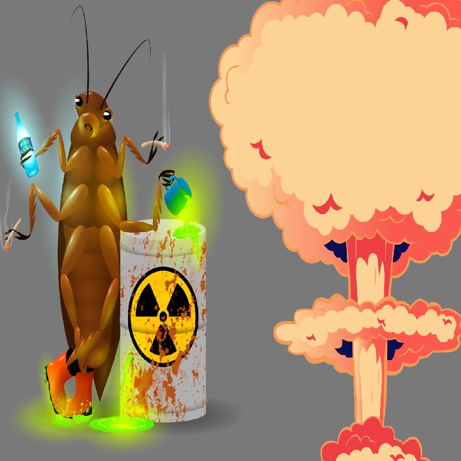 cockroach and nuclear explosion