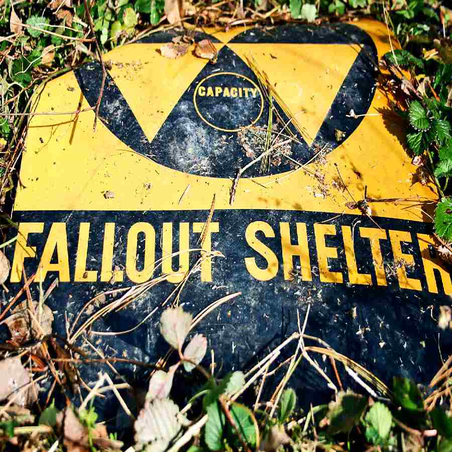 cockroach and nuclear explosion