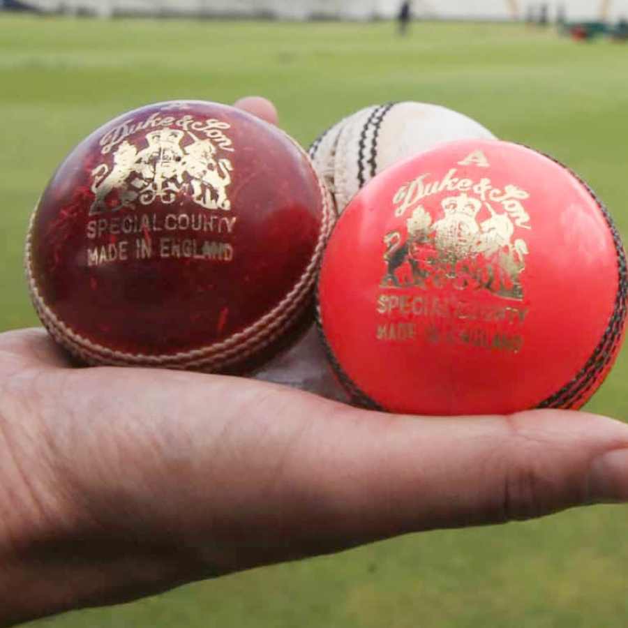 cricket