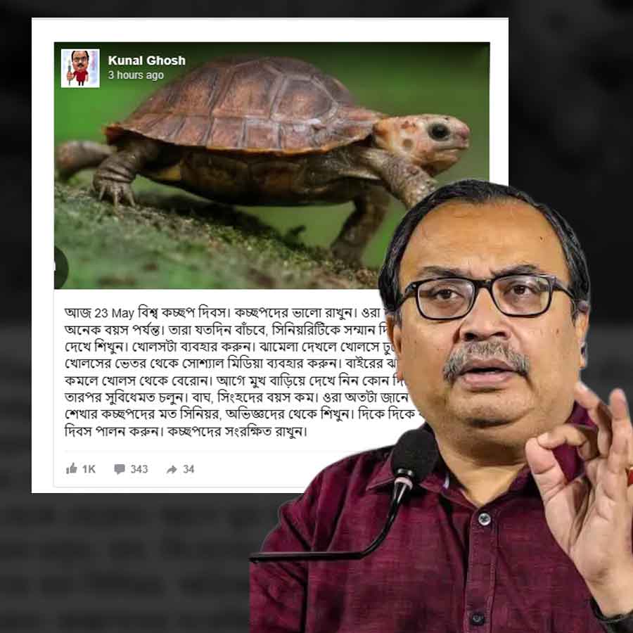 An allusive social media post by TMC MLA Kunal Ghosh on World Turtle Day