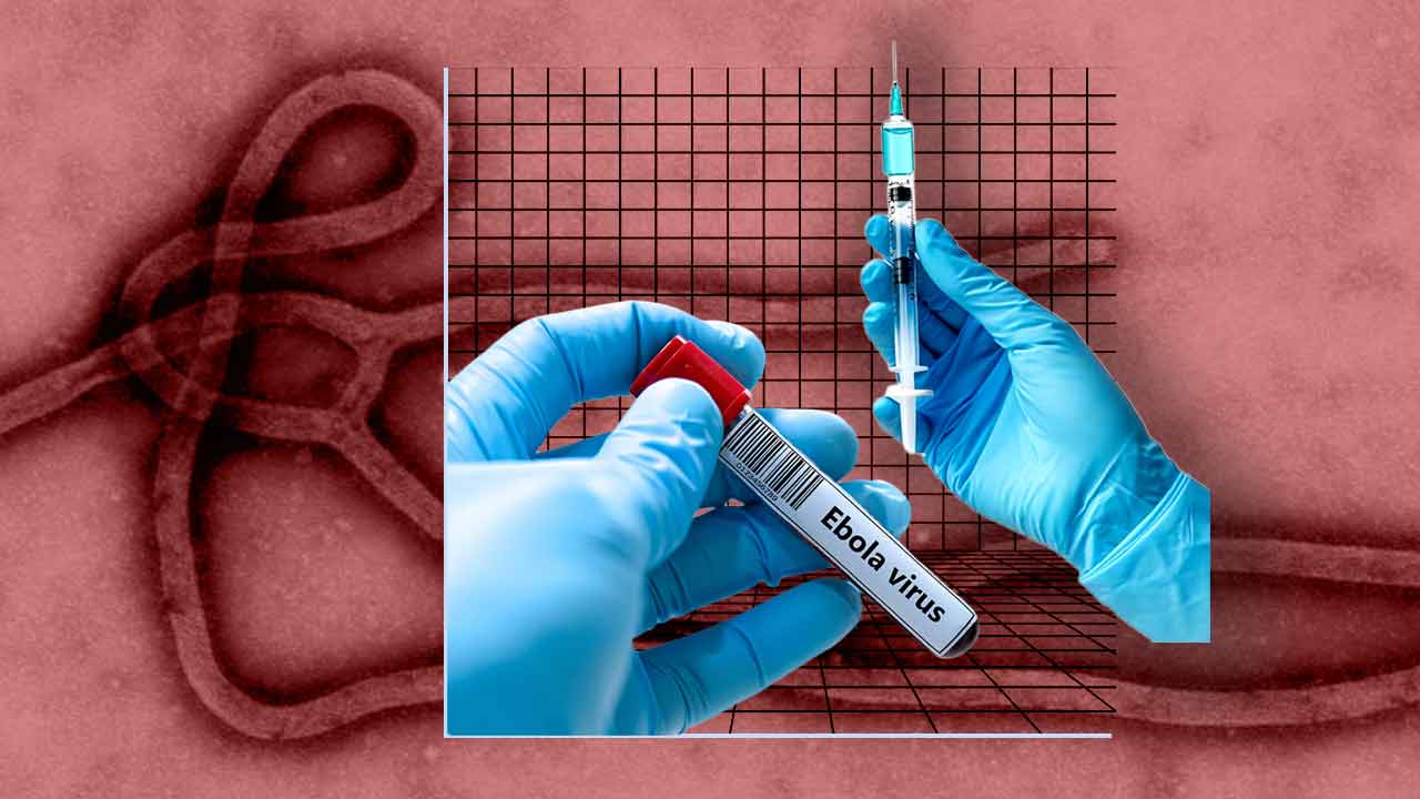Serum Institute of India has joined Oxford to speed up an experimental Ebola vaccine