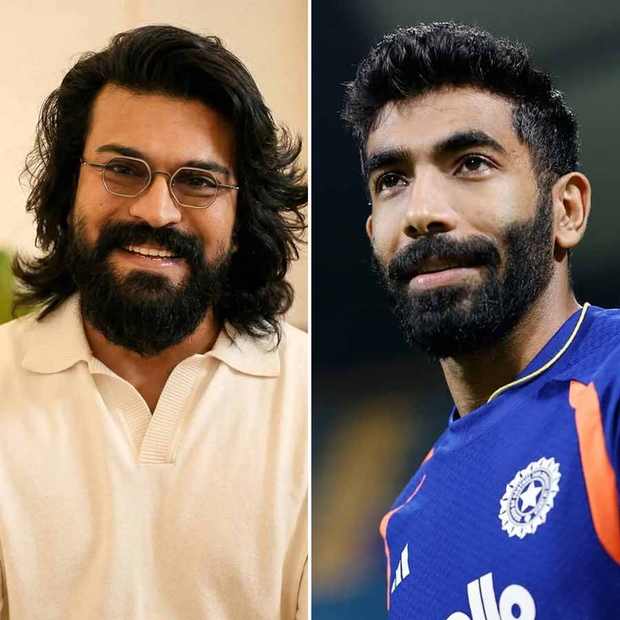 picture of cricket