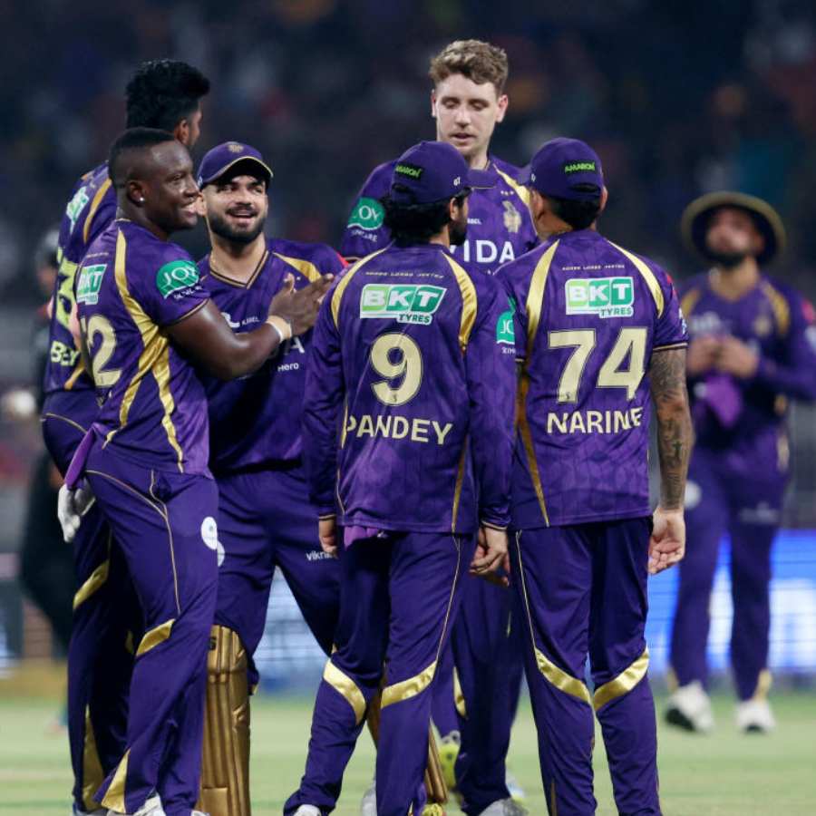 cricket