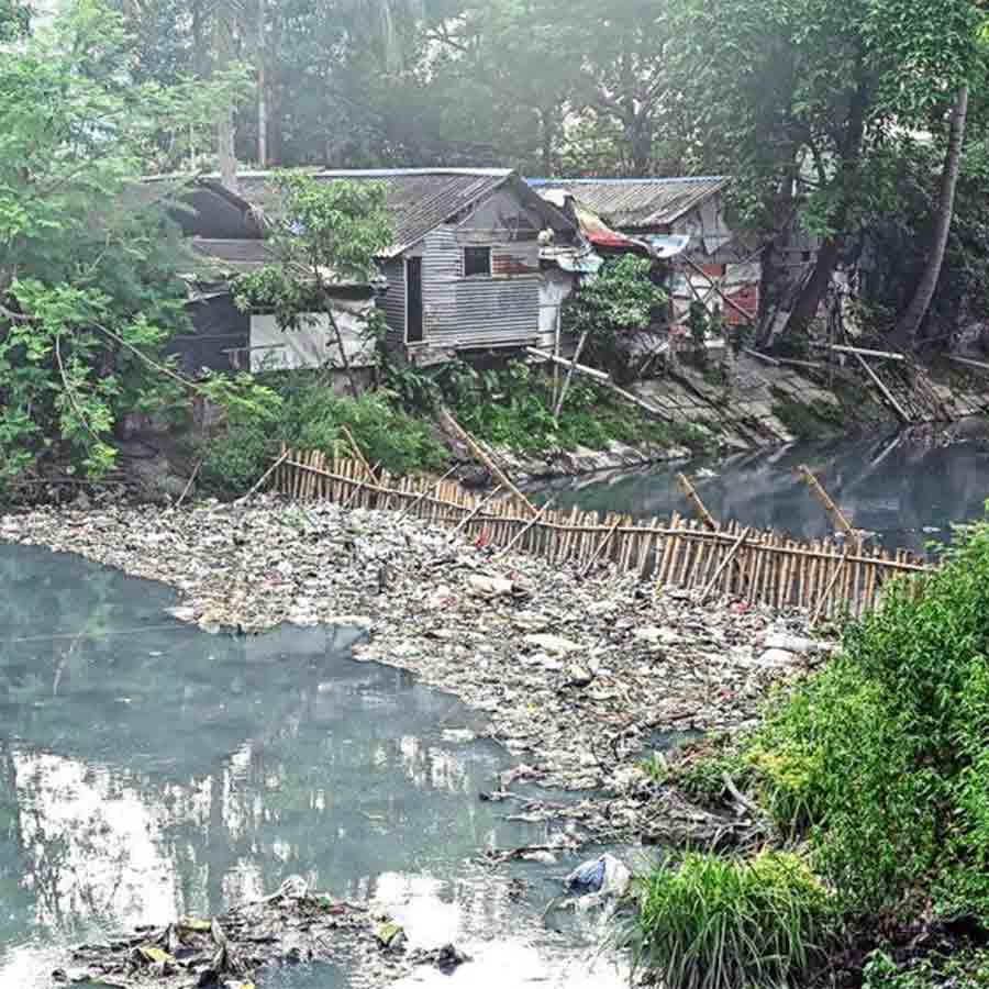 রুবির খাল।