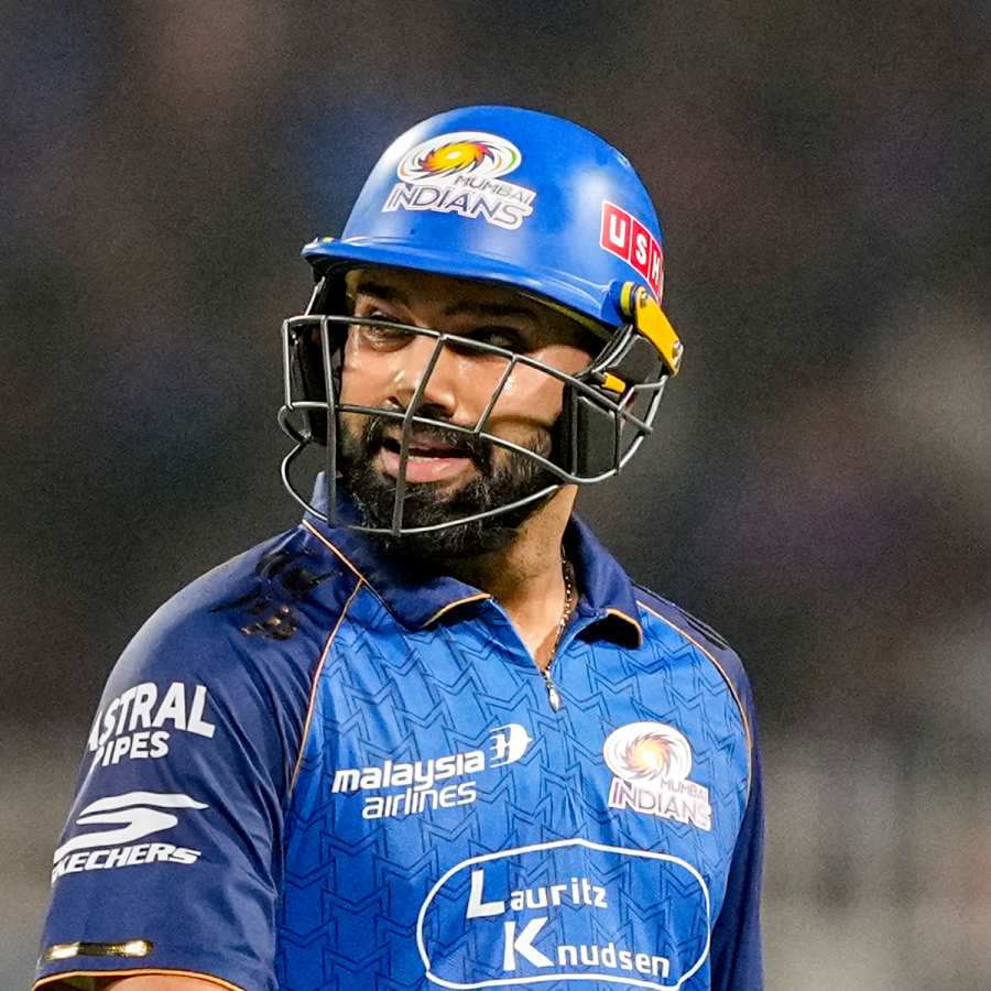 picture of cricket