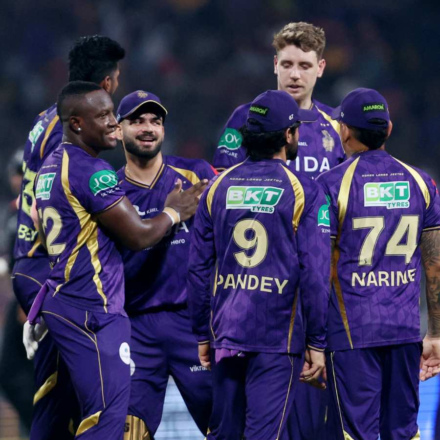 picture of cricket