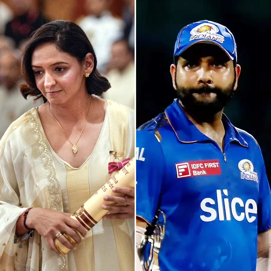 picture of cricket