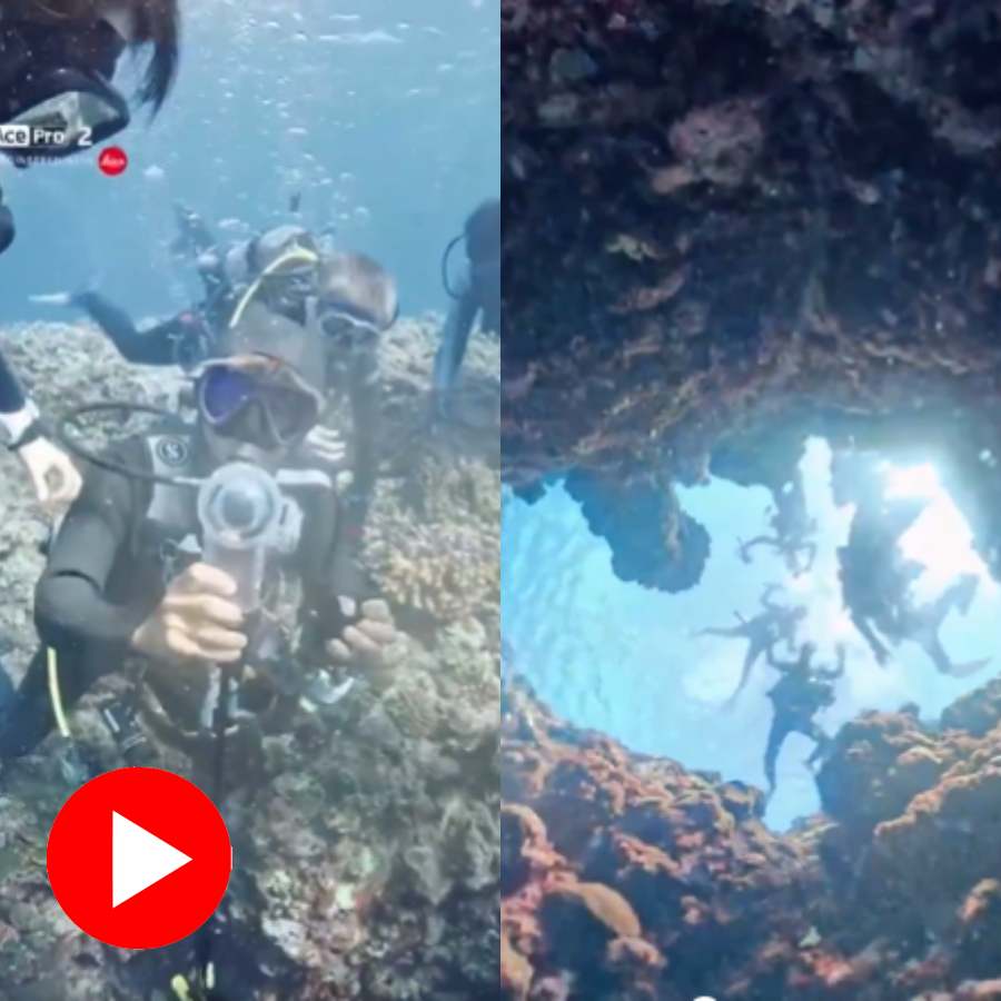 Video shows stunning view after diver drops camera in ocean hole