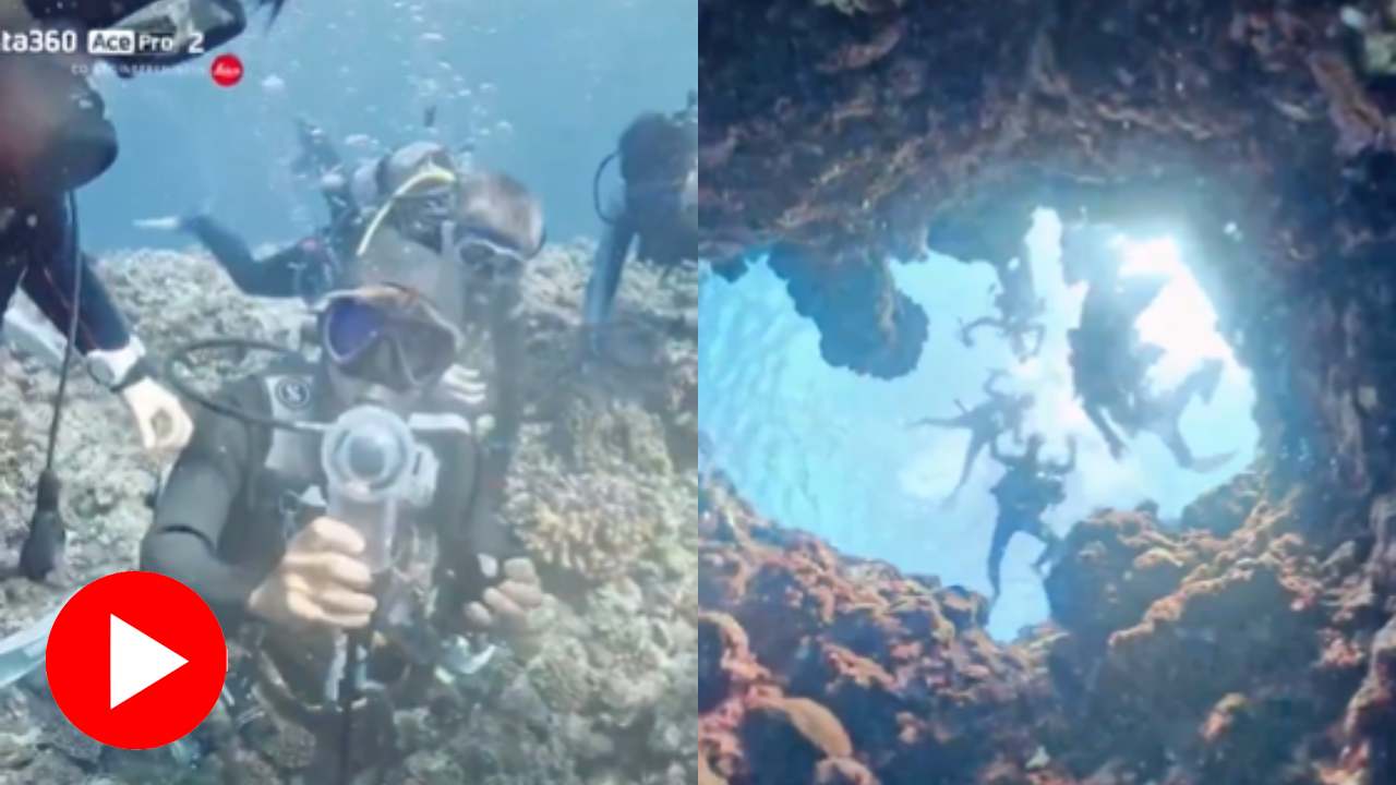 Video shows stunning view after diver drops camera in ocean hole
