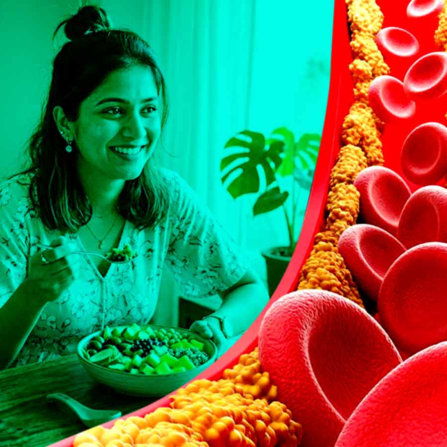কোলেস্টেরলের মাত্রা কি সঠিক ডায়েটেই বশে রাখা যায়?